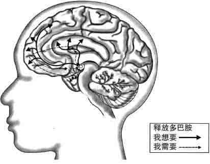 安徽得潤電氣 成套高低壓開關(guān)柜 廠家 報(bào)價(jià) 電話：400-0551-777 qq：3176885416